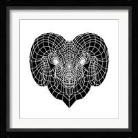 Ram Head Mesh Fine Art Print