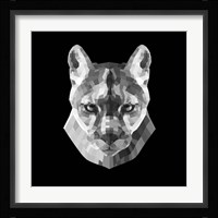 Mountain Lion Head Fine Art Print