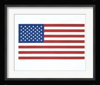 American Flag 1 Fine Art Print