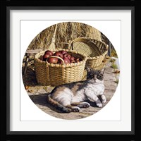 Sunspot Fine Art Print