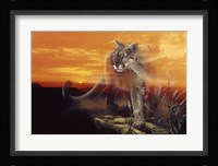 Ghost Of The Badlands Fine Art Print