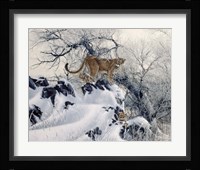 Seperate Ways Fine Art Print