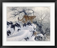 Seperate Ways Fine Art Print