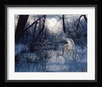 Minnesota Moon Fine Art Print
