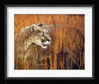 Prairie Marauder Fine Art Print