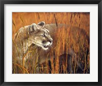 Prairie Marauder Fine Art Print