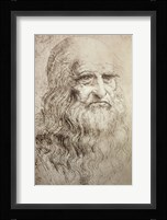 Self Portrait in Old Age 1512 Fine Art Print