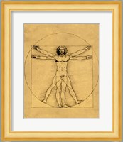 Proportions of the Human Figure - Vitruvian Man Fine Art Print