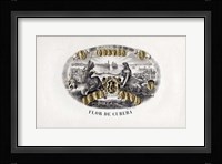 Flor De Cubeba Fine Art Print