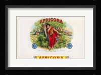 Africora Fine Art Print