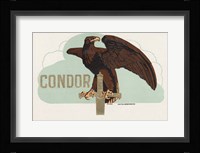 Condor Fine Art Print