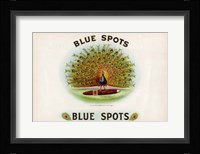 Blue Spots Fine Art Print