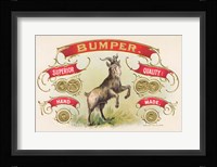 Bumper Fine Art Print