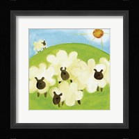 Sheep Framed Print