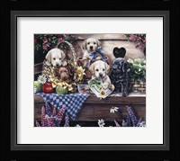 Five Puppies Fine Art Print