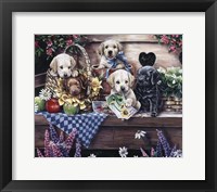 Five Puppies Fine Art Print