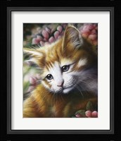 Buttercup Fine Art Print