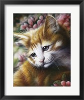 Buttercup Fine Art Print