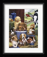Puppy Hayday Fine Art Print