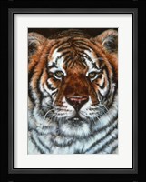 Awesome Beauty Fine Art Print