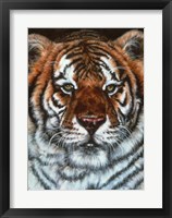 Awesome Beauty Fine Art Print