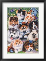Kittens & Puppies In The Garden Fine Art Print