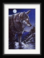 Lonely One Fine Art Print