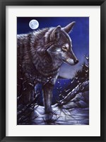 Lonely One Fine Art Print