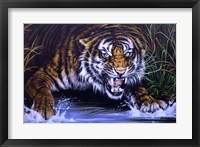 Surprise Fine Art Print