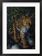 Watchful Eyes Fine Art Print