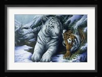 Big Brother Fine Art Print