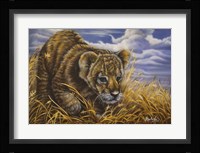 Playful Curiosity Fine Art Print