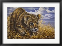 Playful Curiosity Fine Art Print