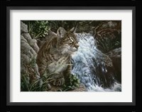 Danger In Paradise Fine Art Print