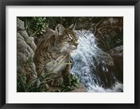 Danger In Paradise Fine Art Print