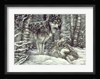 Bedding Down Fine Art Print