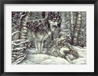 Bedding Down Fine Art Print