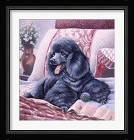 Black Poodle Fine Art Print