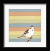 Little Brown Bird Framed Print