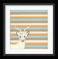 Buck Framed Print