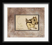 C is For Chipmunk Framed Print