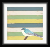 Little Blue Bird Framed Print