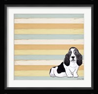 Basset Hound 1 Fine Art Print