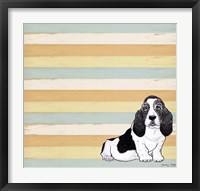 Basset Hound 1 Fine Art Print