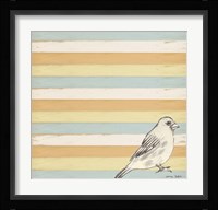 Bird Stripes Framed Print