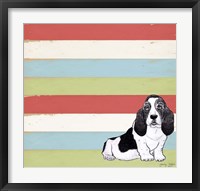 Basset Hound 3 Fine Art Print
