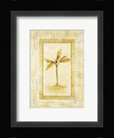 Palm 2 Fine Art Print