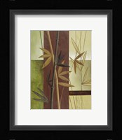 Bamboo Study II Fine Art Print
