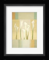 Calla Lily Dance I Framed Print