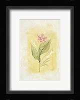 Pink Bloom 2 Fine Art Print